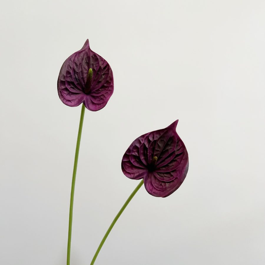 O1CN01y4K3u31mXZ67Lc2lf_!!2212877874964-0-cib Wholesale PU Anthurium| Ultra-Realistic 3D Texture