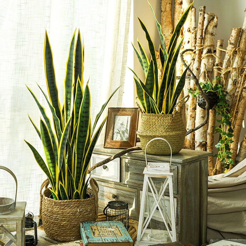 Artificial Snake Plant