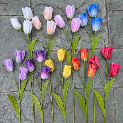 3D Printed Tactile Tulips| 3&5-Bloom