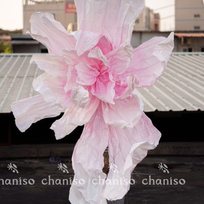 Gradient-Colored Oversized Paper Florals