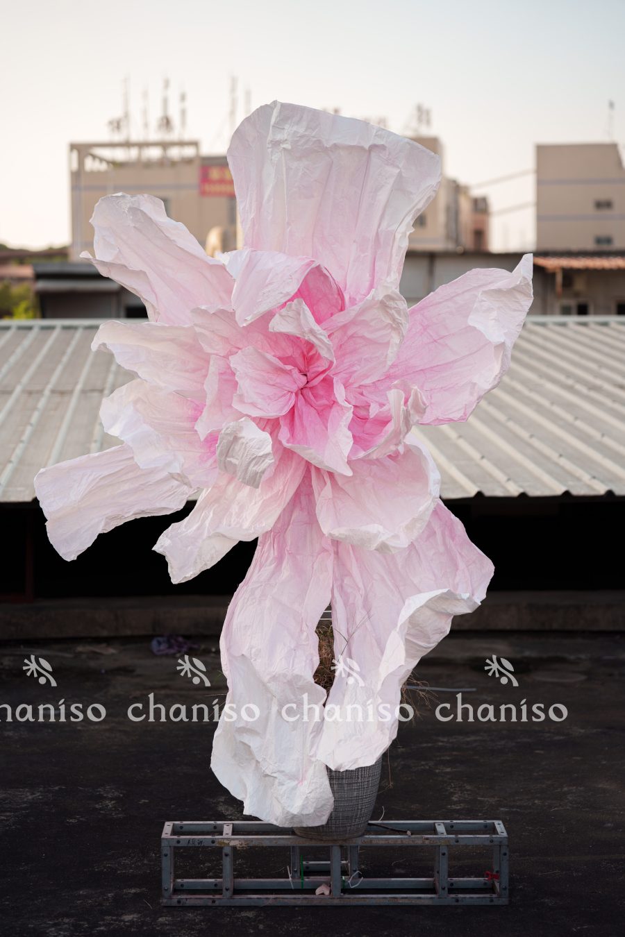Gradient-Colored Oversized Paper Florals