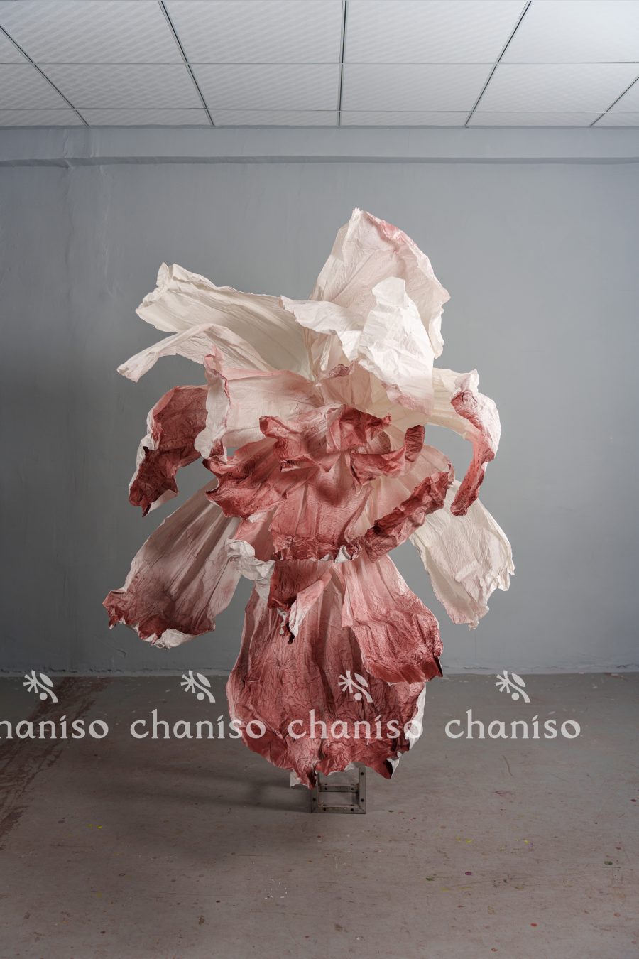 Gradient-Colored Oversized Paper Florals