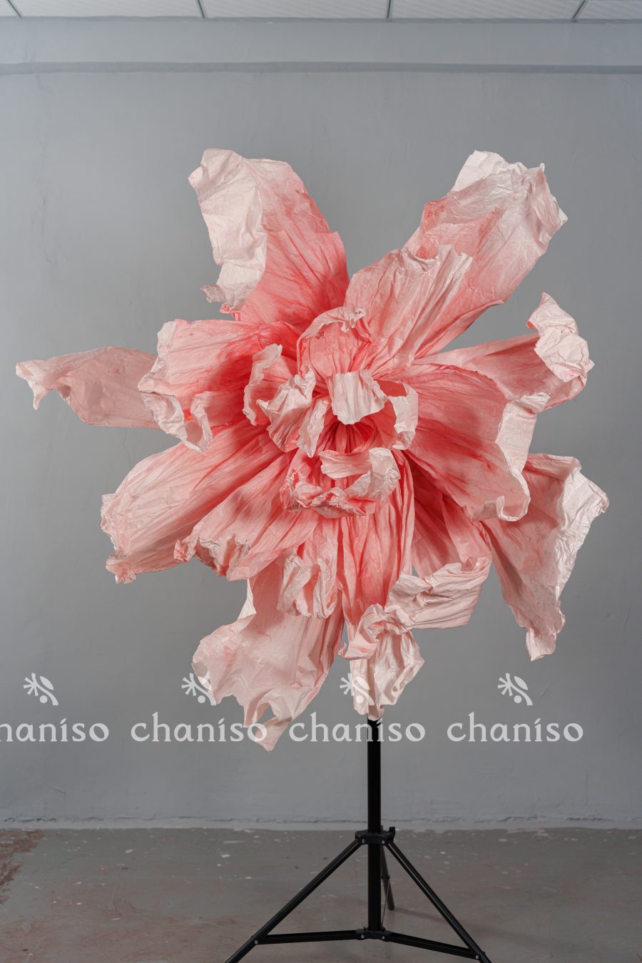 Gradient-Colored Oversized Paper Florals