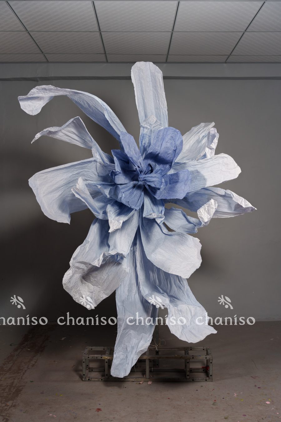 Gradient-Colored Oversized Paper Florals